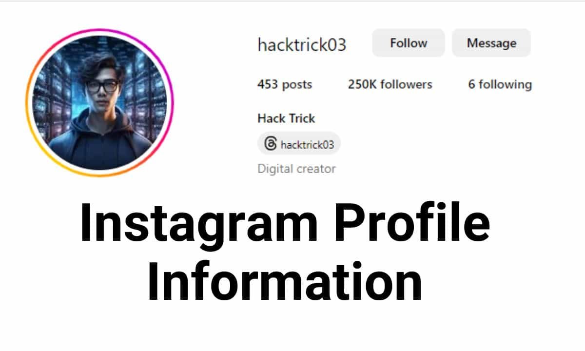 Instagram Profile Information